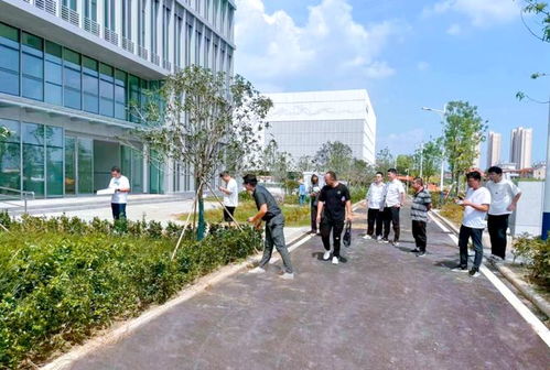 蔡甸推動高質(zhì)量發(fā)展 為市民辦實(shí)事